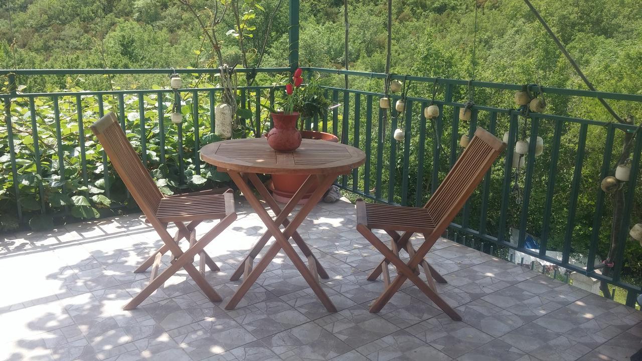 Danijela Apartmani Canj Bagian luar foto