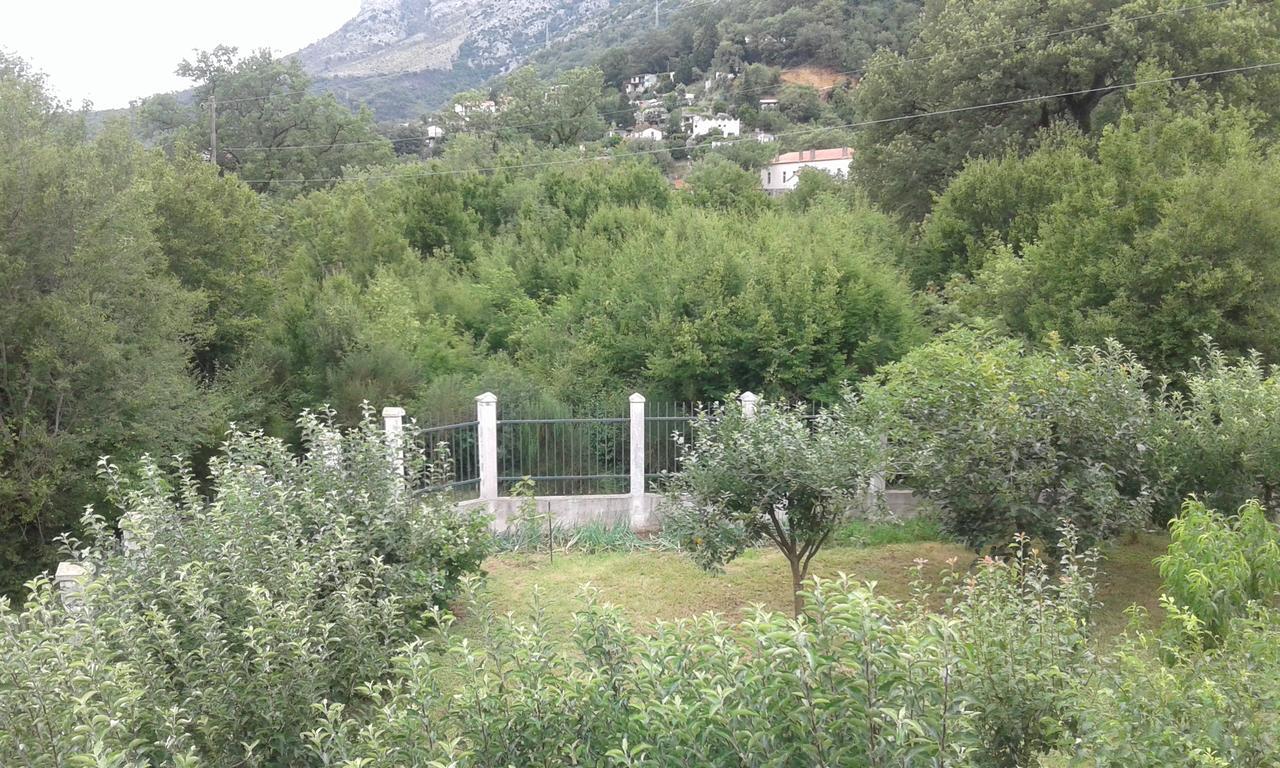 Danijela Apartmani Canj Bagian luar foto
