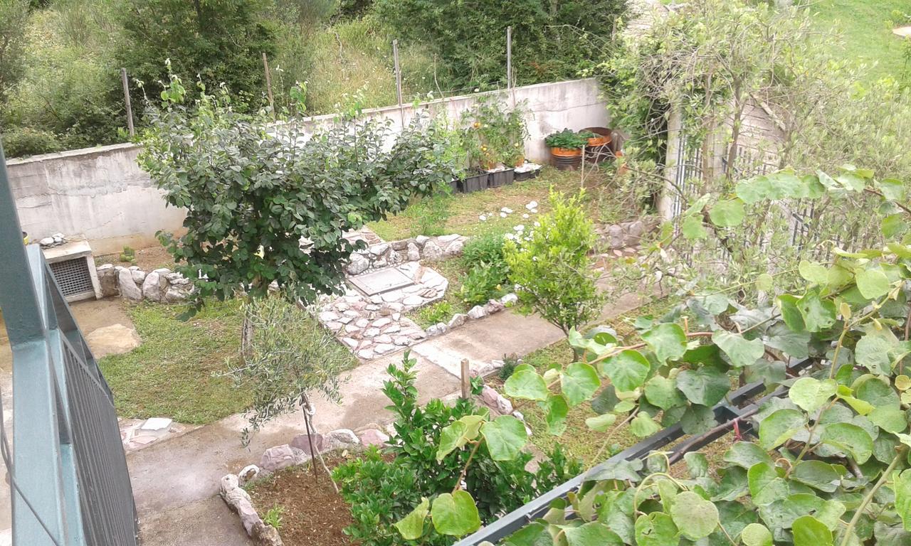 Danijela Apartmani Canj Bagian luar foto