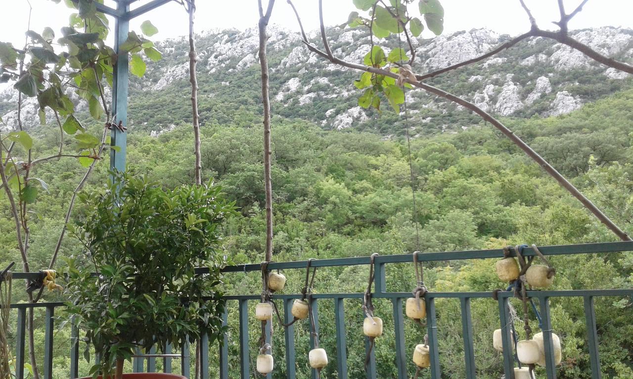 Danijela Apartmani Canj Bagian luar foto